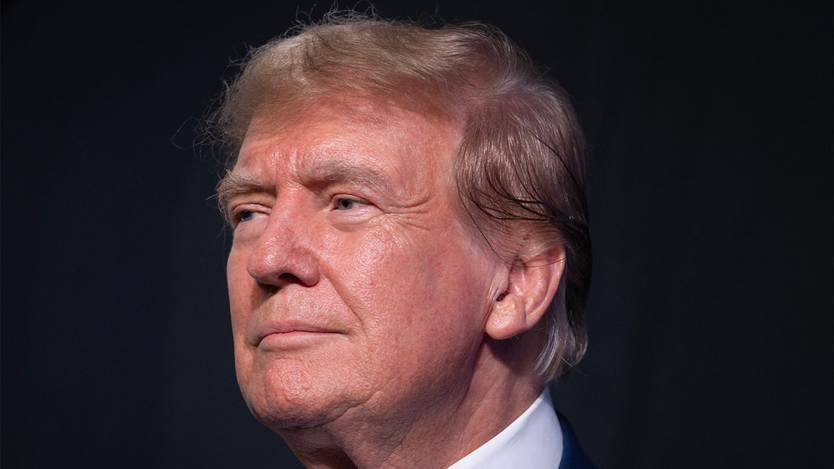 Experts reveal major ‘downside’ to potential Trump VP pick: ‘No wow factor’