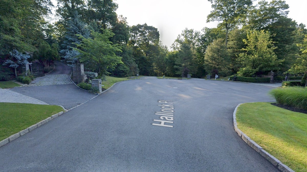 Knife-wielding suspect wanted on multiple warrants shot by police in a multimillion-dollar suburban home