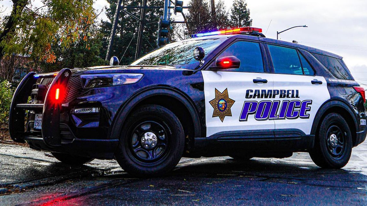 California man arrested after randomly punching elderly victims, stopping to pose for photo: police