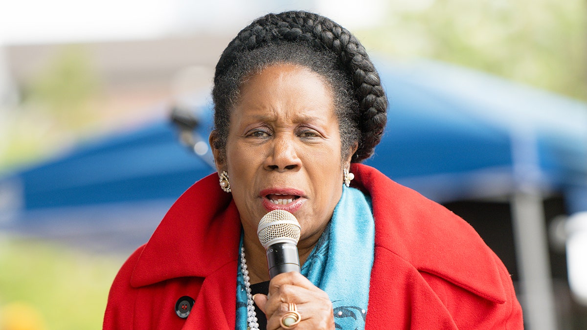 Rep. Sheila Jackson Lee says she has been diagnosed with pancreatic cancer