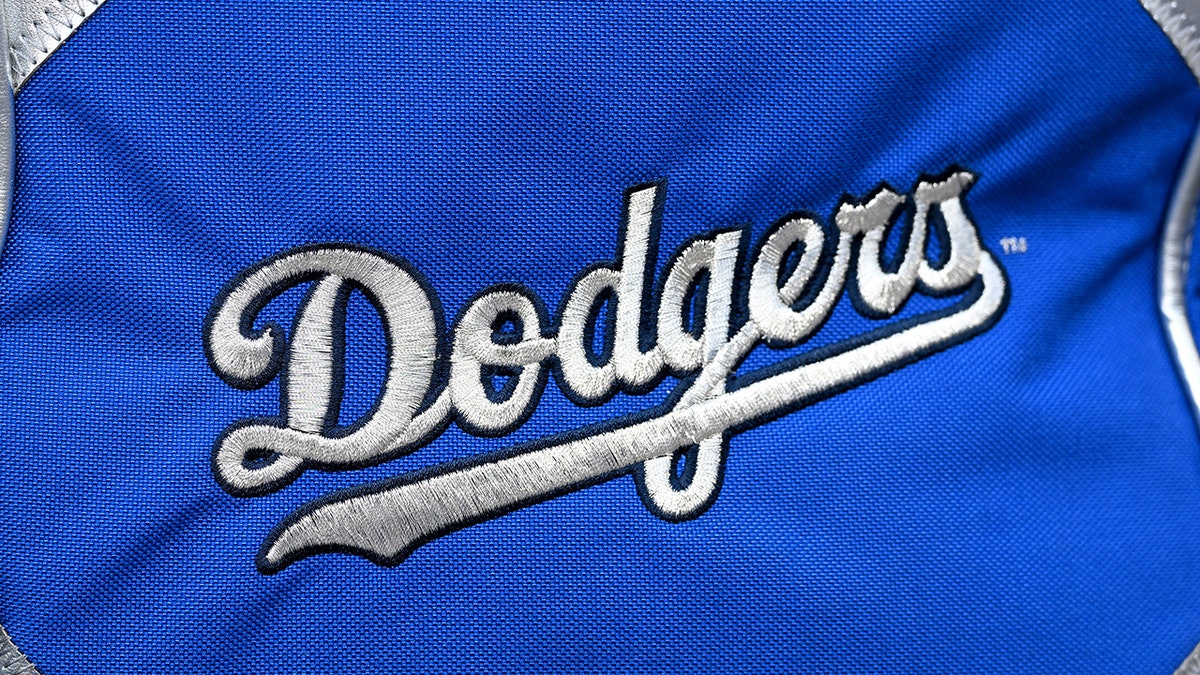 Dodgers fans take over Yankee Stadium with large group outing