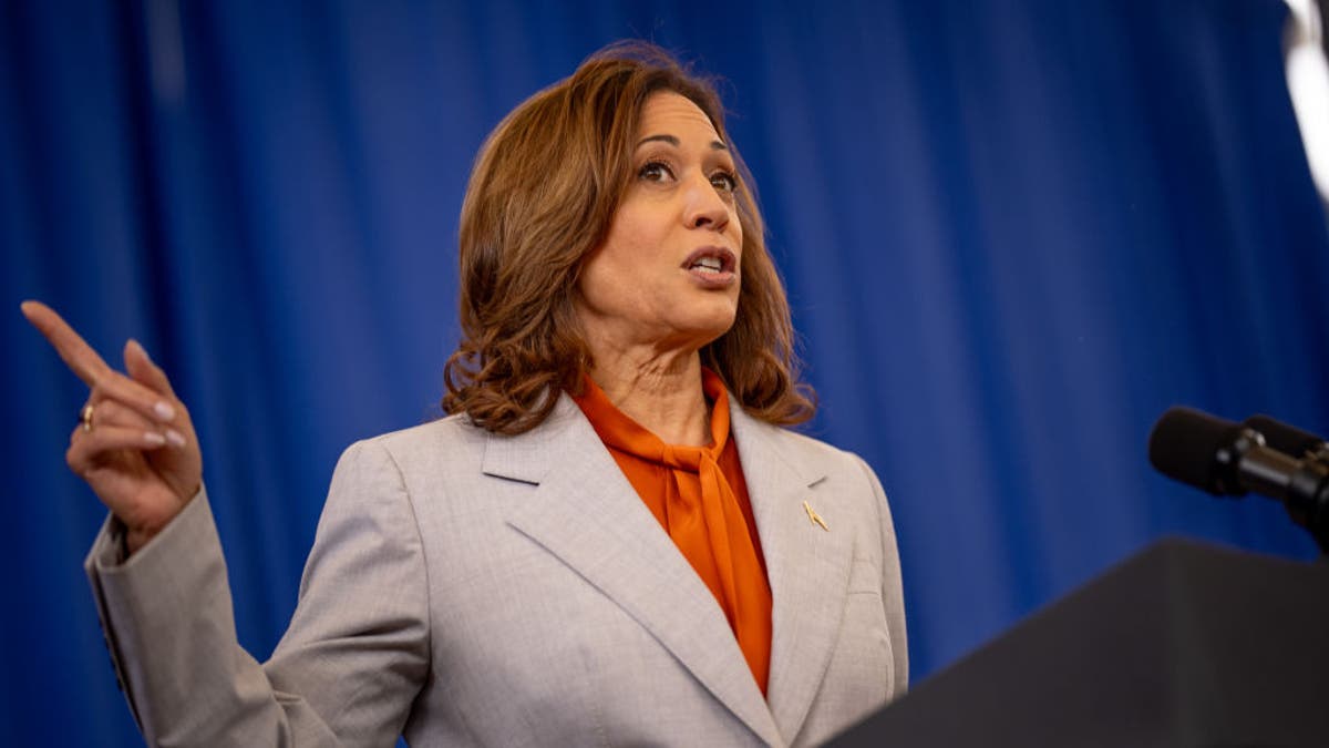 Kamala Harris mourns death of Palestinians in raid that rescued 4 Israeli hostages