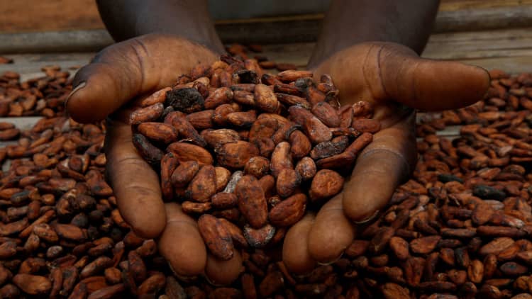 Candy makers face steep cocoa prices, get creative