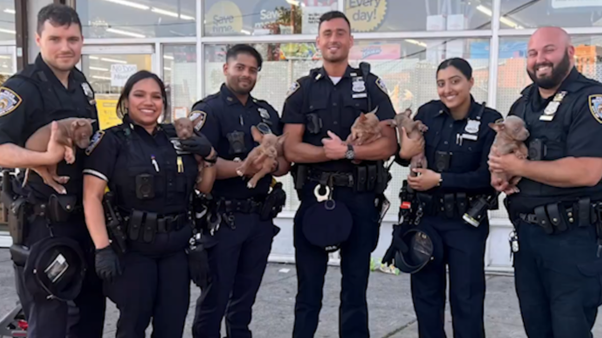 NYPD rescues puppies stuffed in hot bag