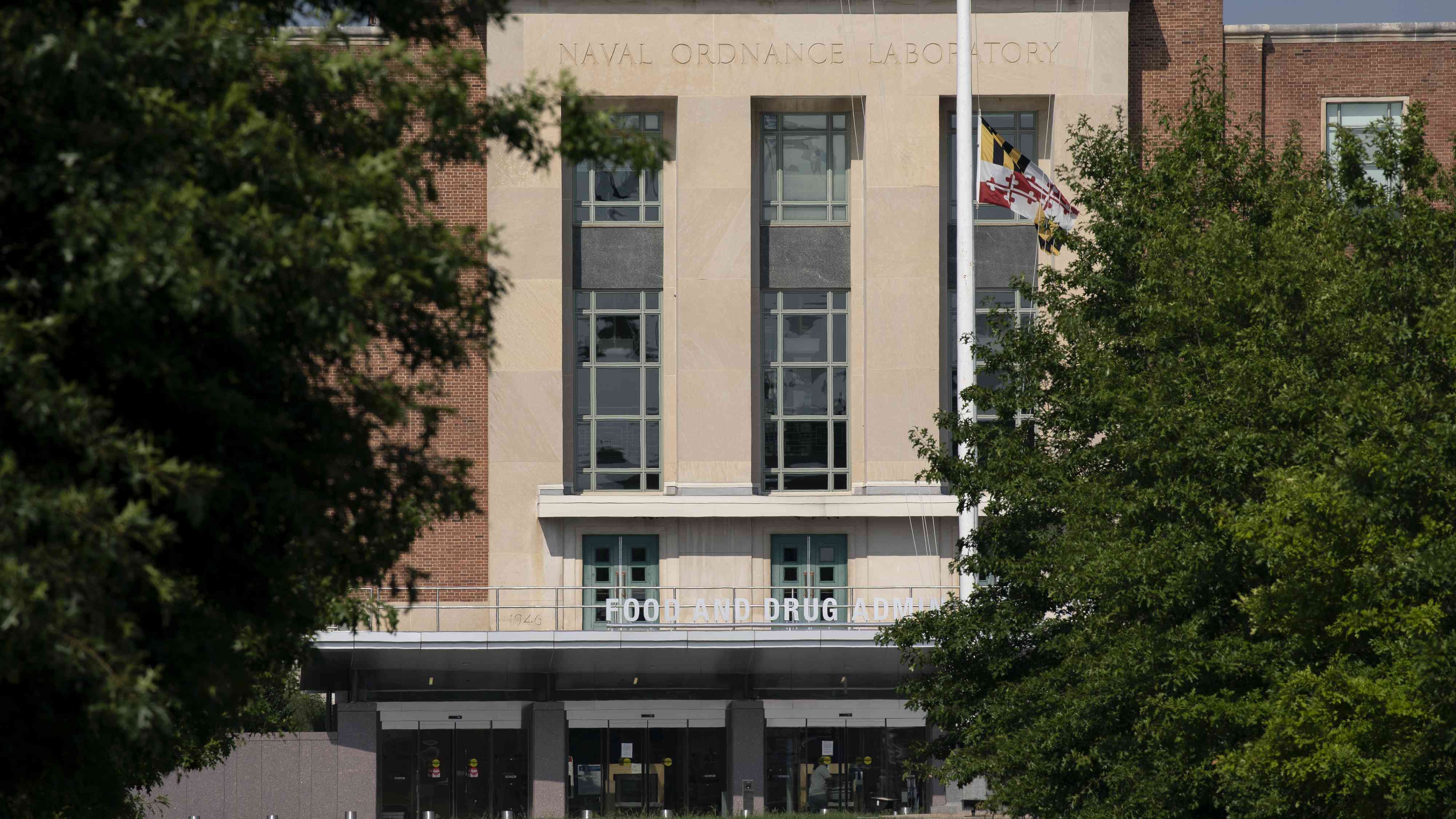 FDA Again Delays Approval of Rocket Pharmaceuticals’ Gene Therapy Treatment