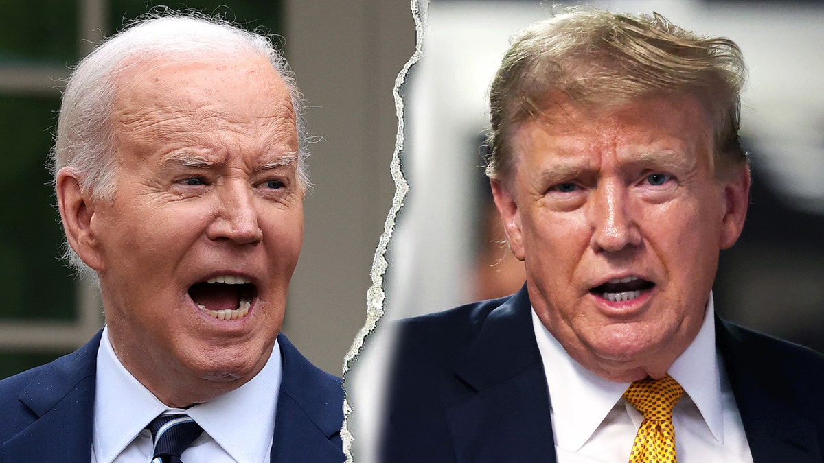 Van Jones says that Democrats are in ‘full-scale panic’ to replace Biden before election