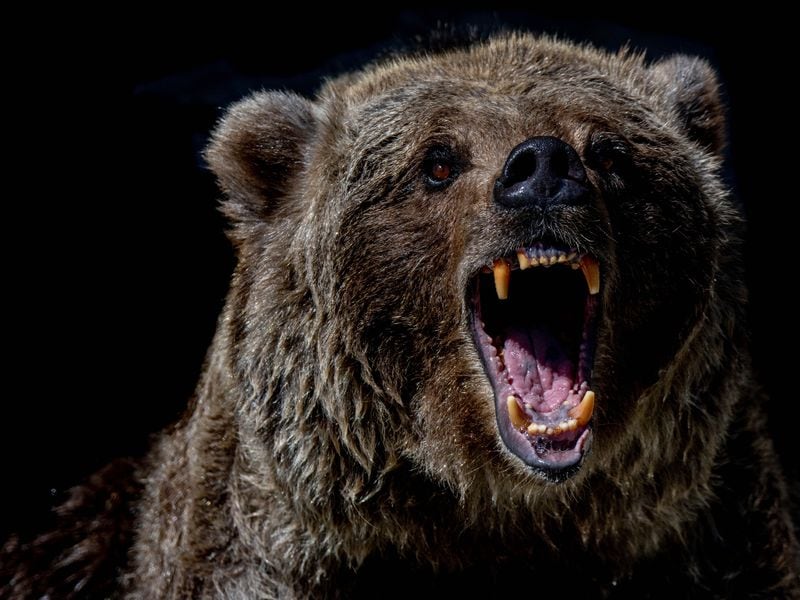 Bitcoin Price (BTC) Falls After U.S. Sends $240M Worth Seized BTC to Coinbase Prime