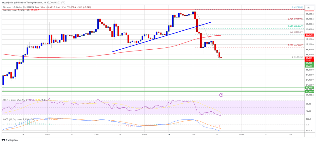 Bitcoin Price Pulls Back: Will Bulls Conquer the Selling Pressure?