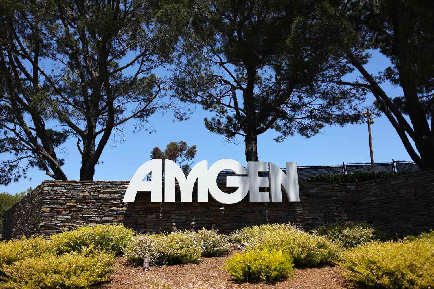 Amgen Stock Slides on Lowered Guidance