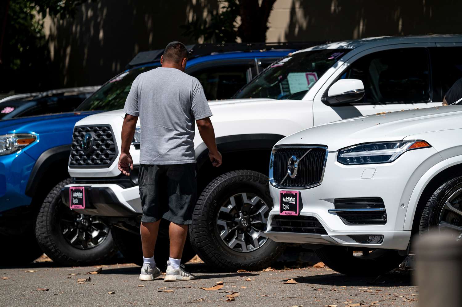 Retail Sales Surprisingly Jumped in July