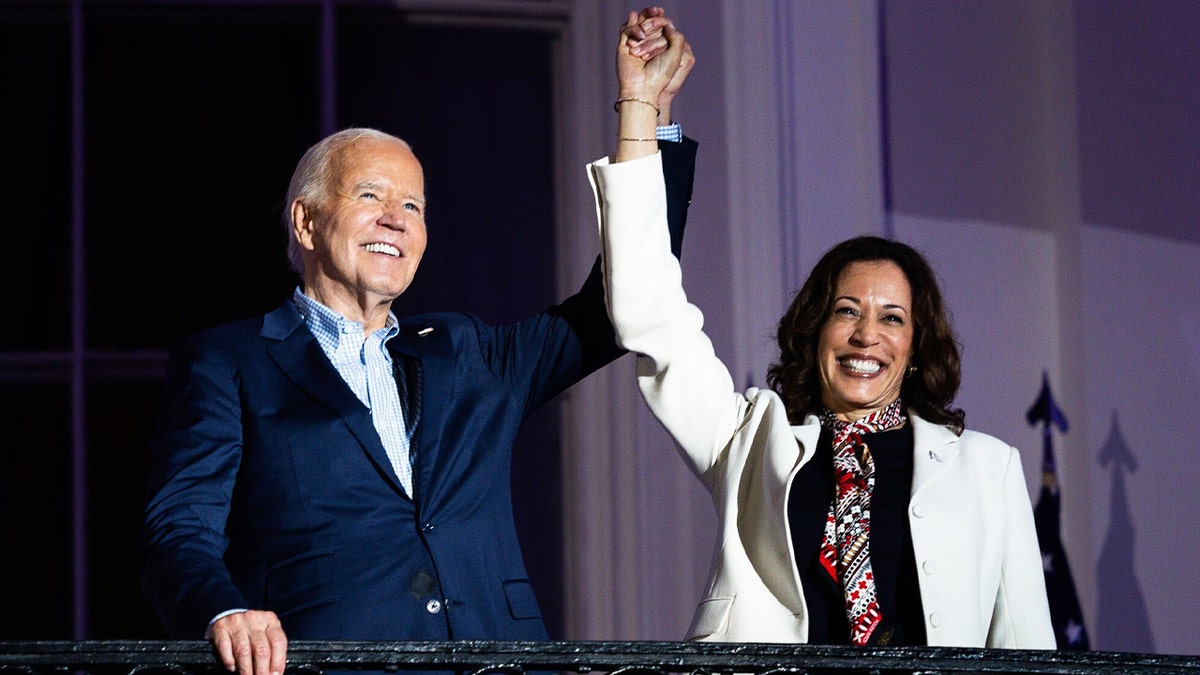 DNC Chicago protesters sound off on 2024 candidates