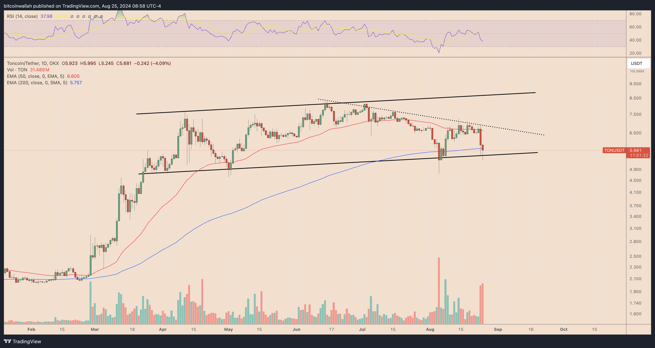 Will Telegram-linked Toncoin bounce back after Pavel Durov’s arrest?