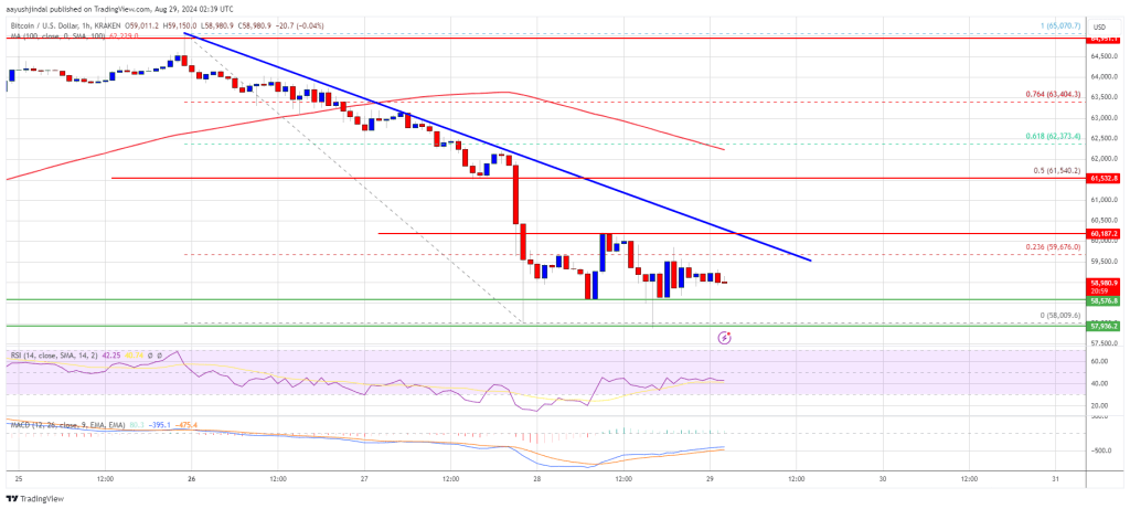 Can Bulls Launch a Recovery?