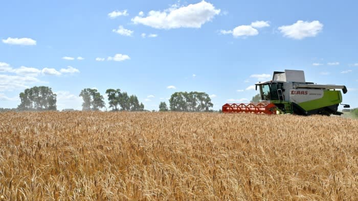 How open trade saved us from a global food crisis