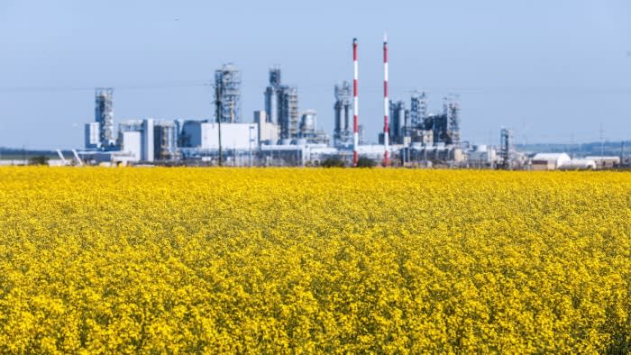 China to launch anti-dumping probe into Canadian canola exports