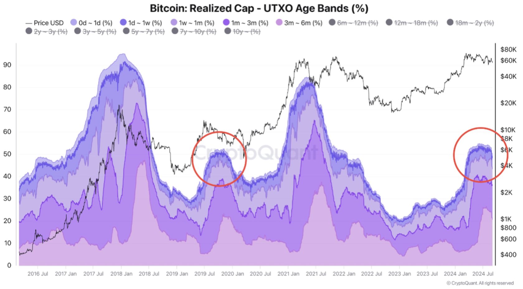 Bitcoin ‘new’ investor spike echoes 2019 BTC price peak — Analysis