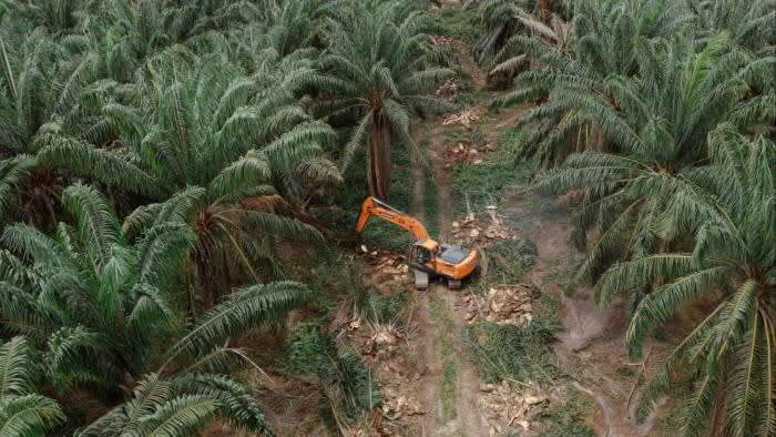 Indonesia warns of ‘chaos’ from EU deforestation law