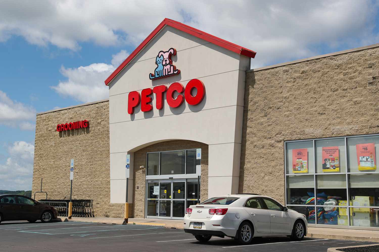 ‘Roaring Kitty’ Post Appears to Send Petco Stock Soaring Despite Weak Results