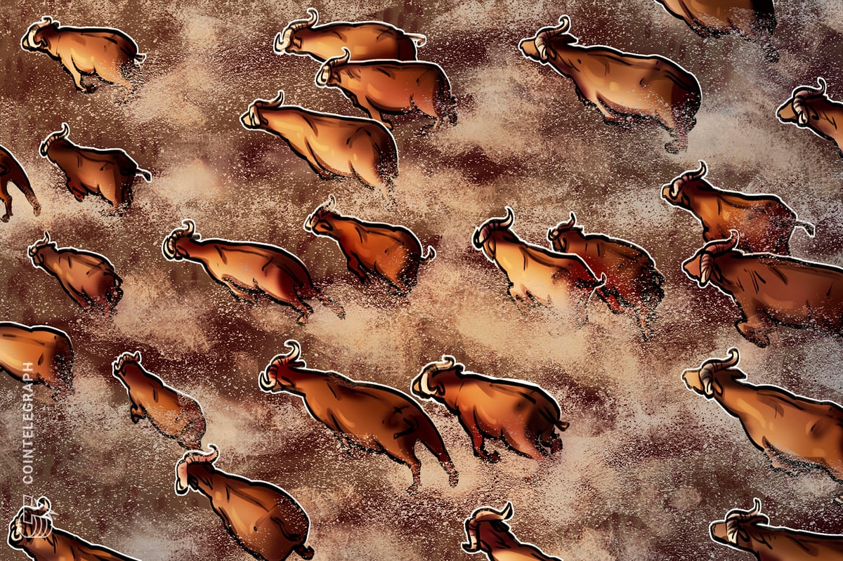 Altcoins need ‘substantial bull market’ to avoid VC funding drought: Analyst