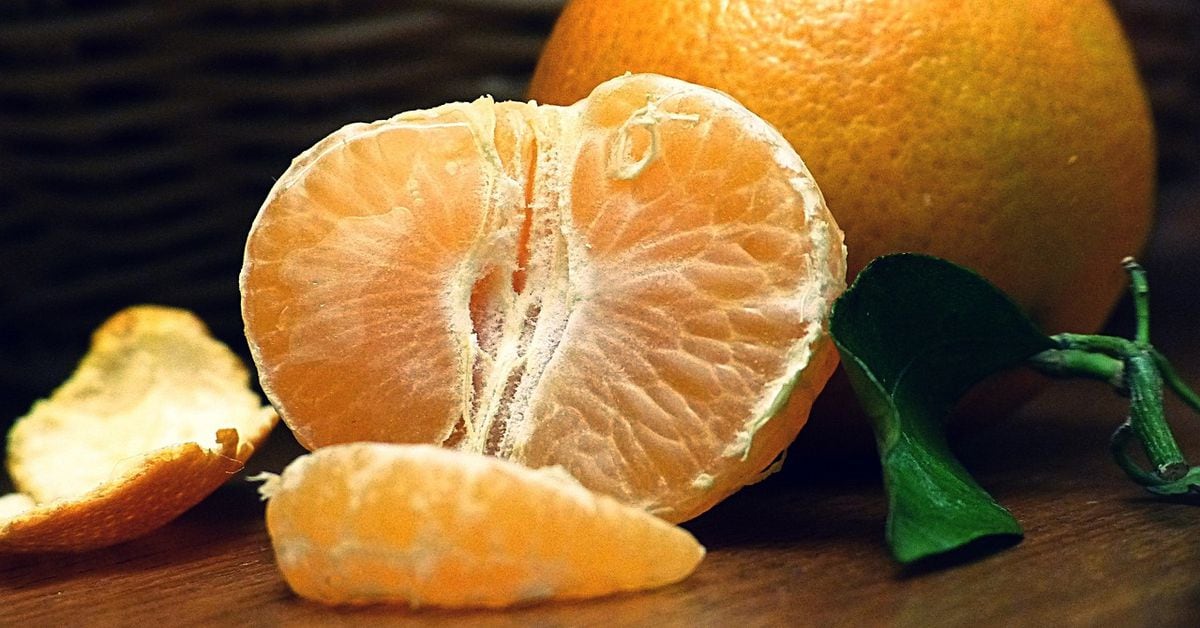 Bitcoin Rollup Citrea Deploys BitVM-Based Bridge ‘Clementine’ on Testnet