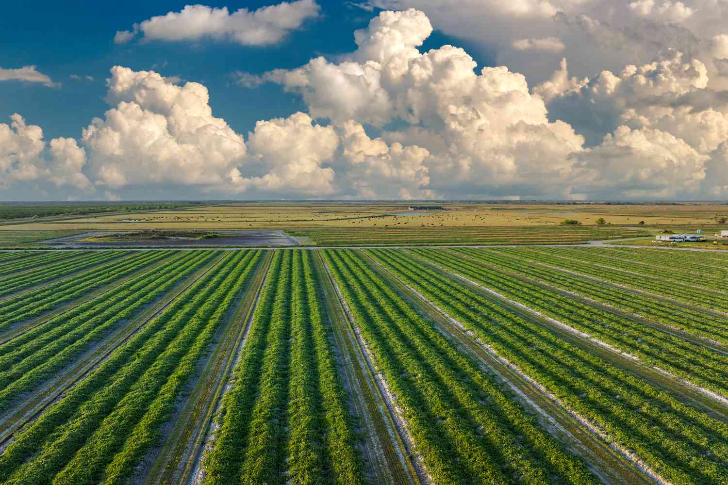 Why Fertilizer Producer Mosaic’s Stock Jumped 5% Monday
