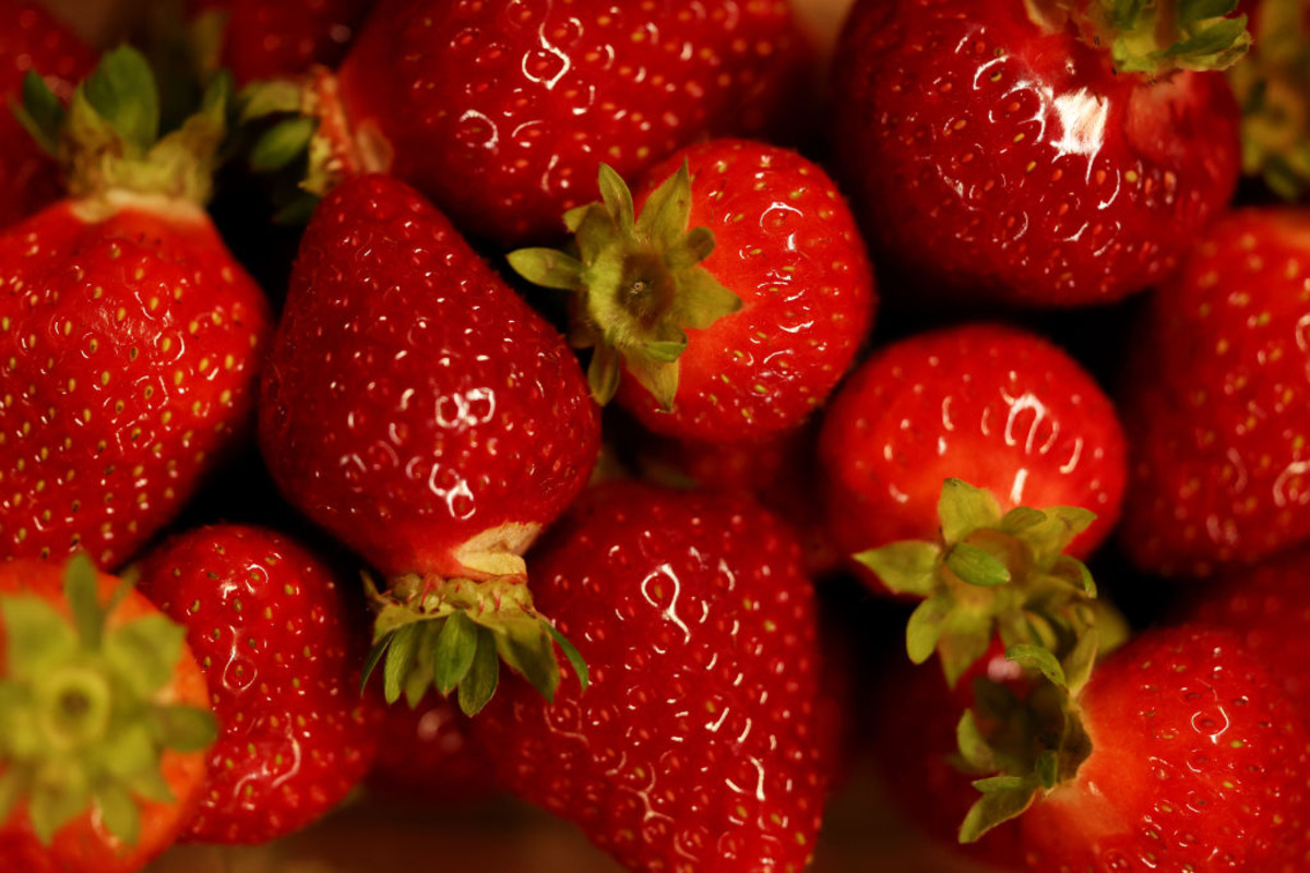 Rising wages hit British strawberry growers