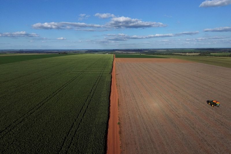 Paraguay’s soy farmers ride tariff war ’toboggan’